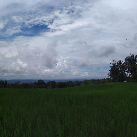 Tegal Jero Homestay Джатилувих Екстериор снимка