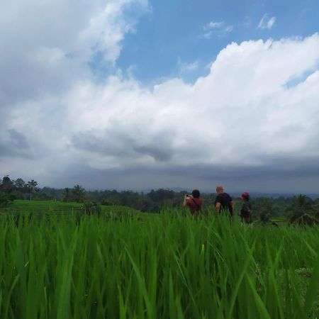 Tegal Jero Homestay Джатилувих Екстериор снимка