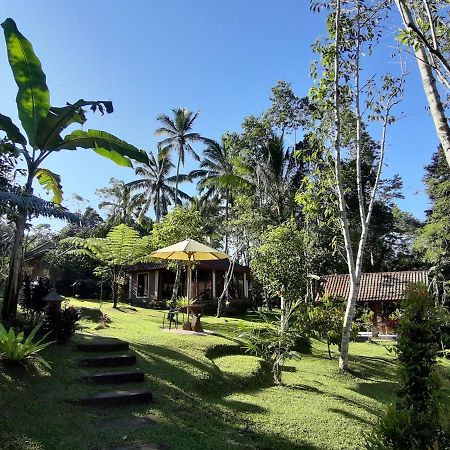 Tegal Jero Homestay Джатилувих Екстериор снимка