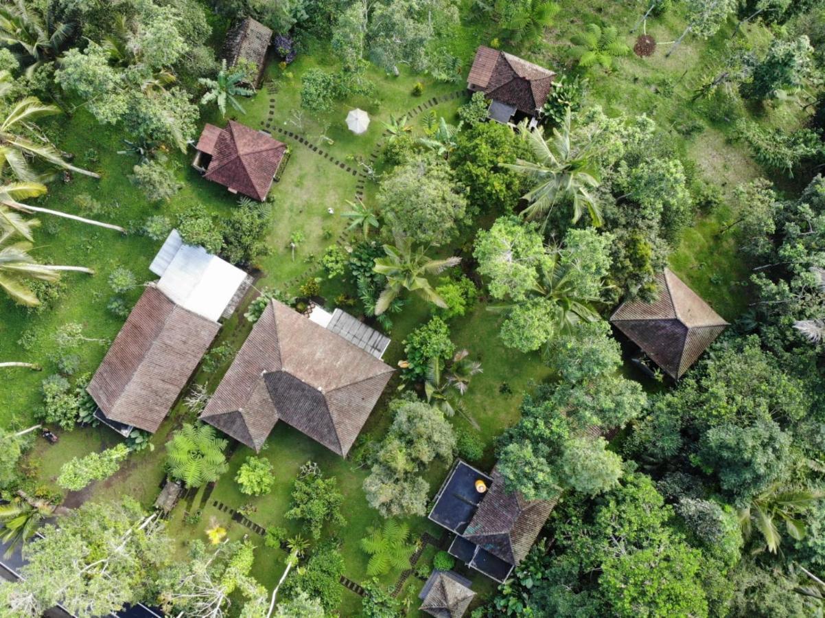 Tegal Jero Homestay Джатилувих Екстериор снимка