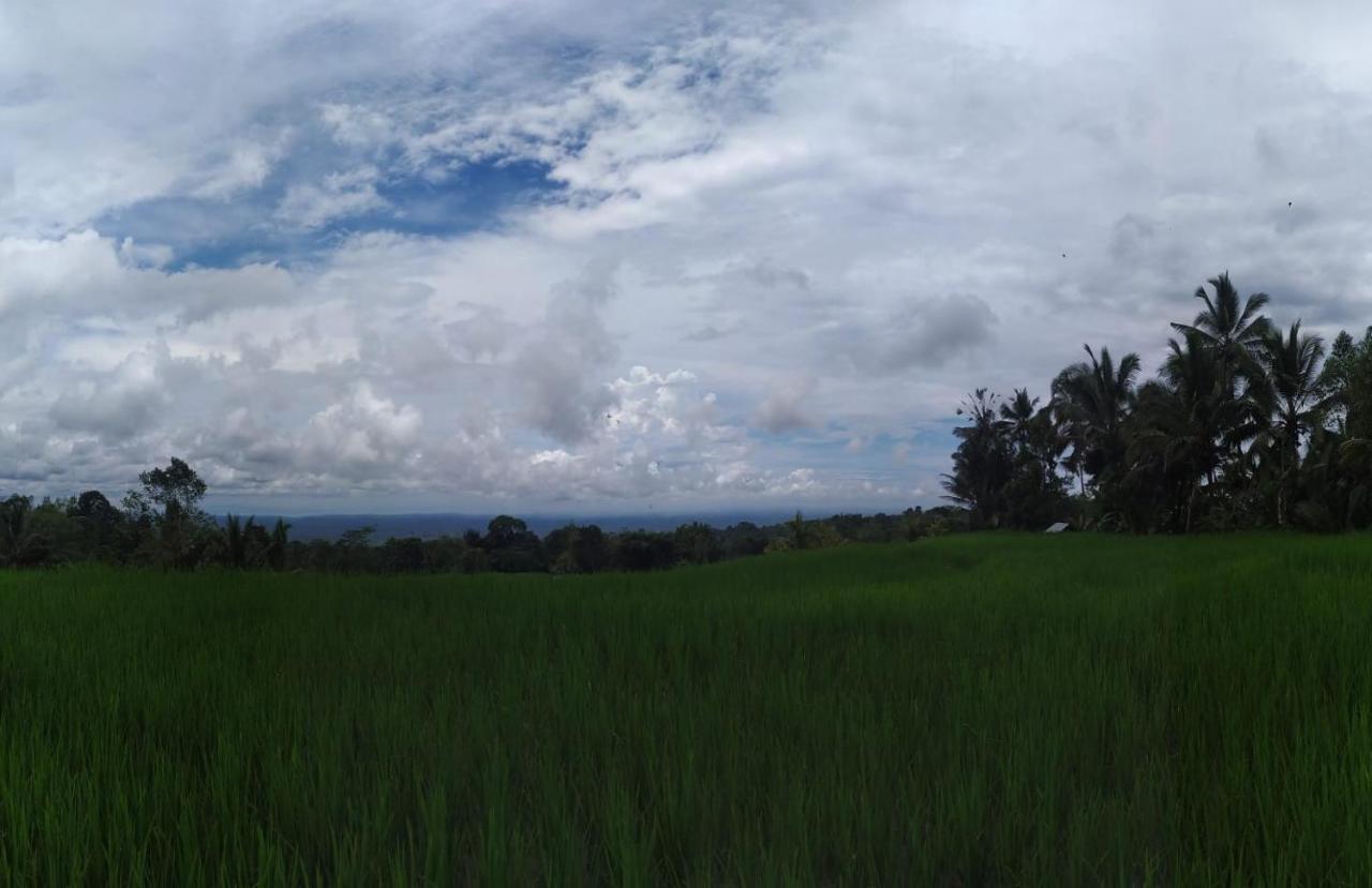 Tegal Jero Homestay Джатилувих Екстериор снимка