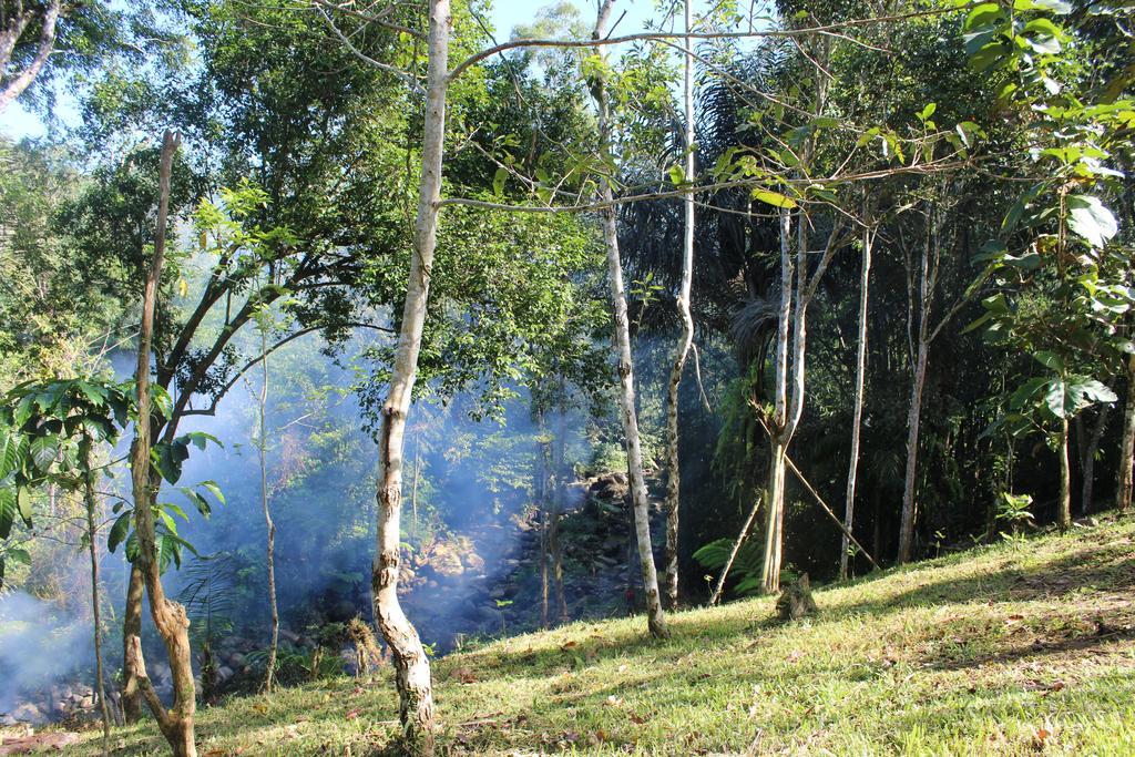 Tegal Jero Homestay Джатилувих Екстериор снимка