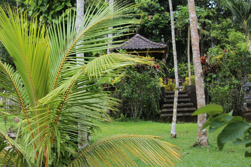 Tegal Jero Homestay Джатилувих Екстериор снимка