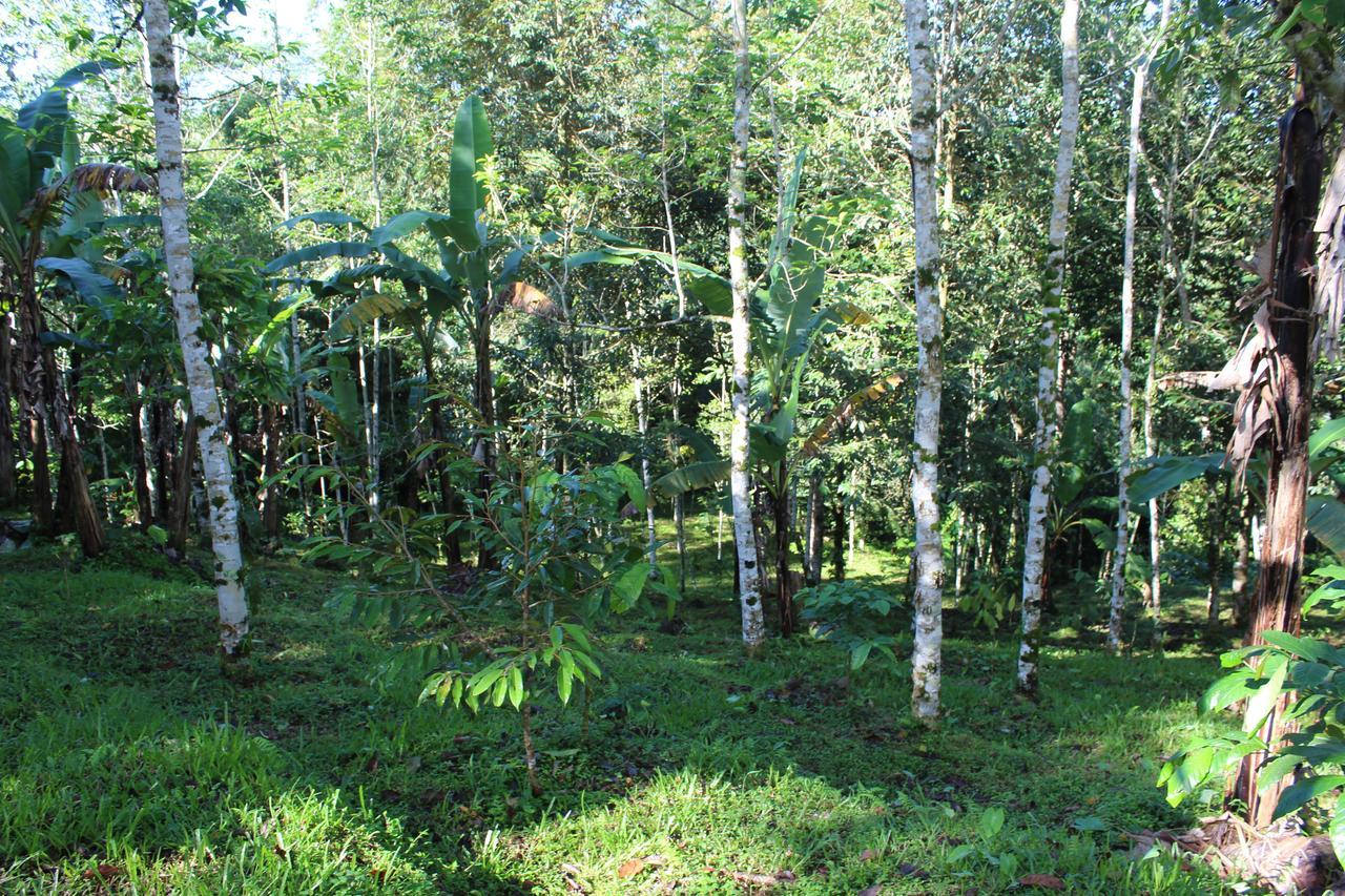 Tegal Jero Homestay Джатилувих Екстериор снимка