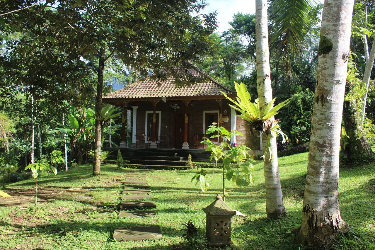 Tegal Jero Homestay Джатилувих Екстериор снимка