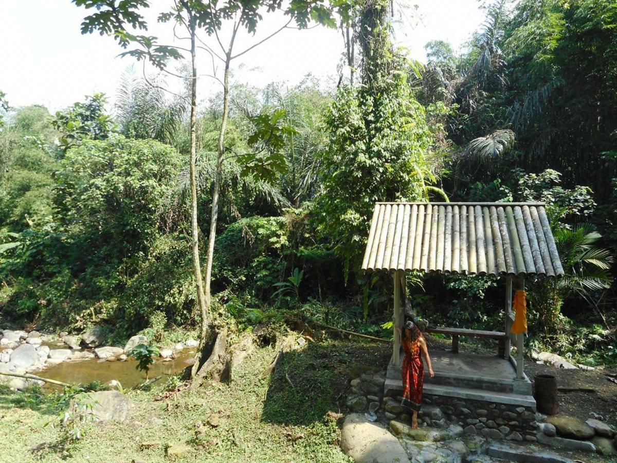 Tegal Jero Homestay Джатилувих Екстериор снимка