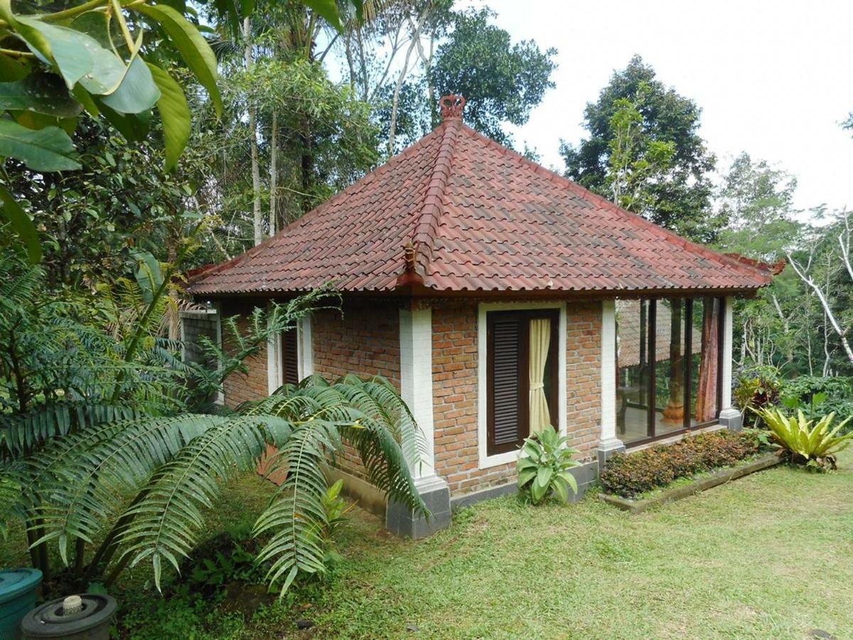 Tegal Jero Homestay Джатилувих Екстериор снимка