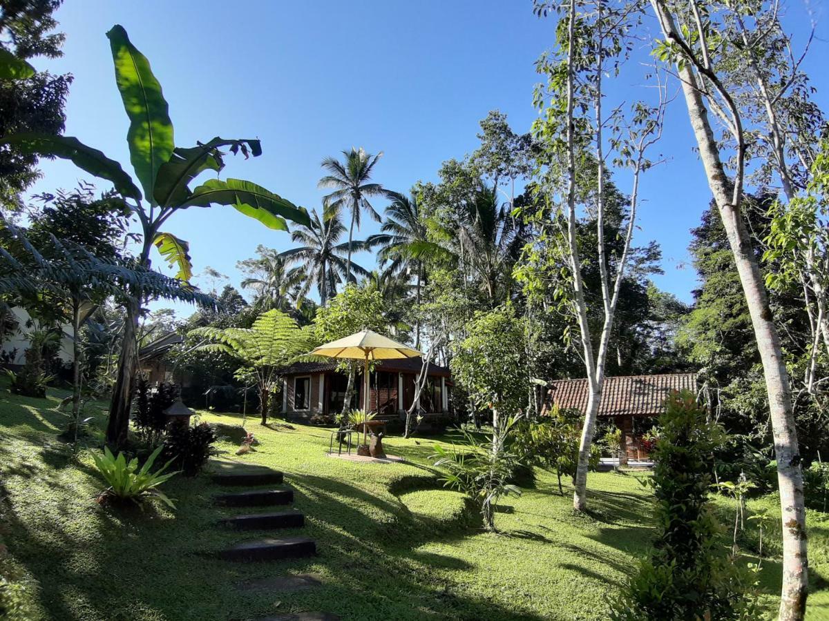 Tegal Jero Homestay Джатилувих Екстериор снимка