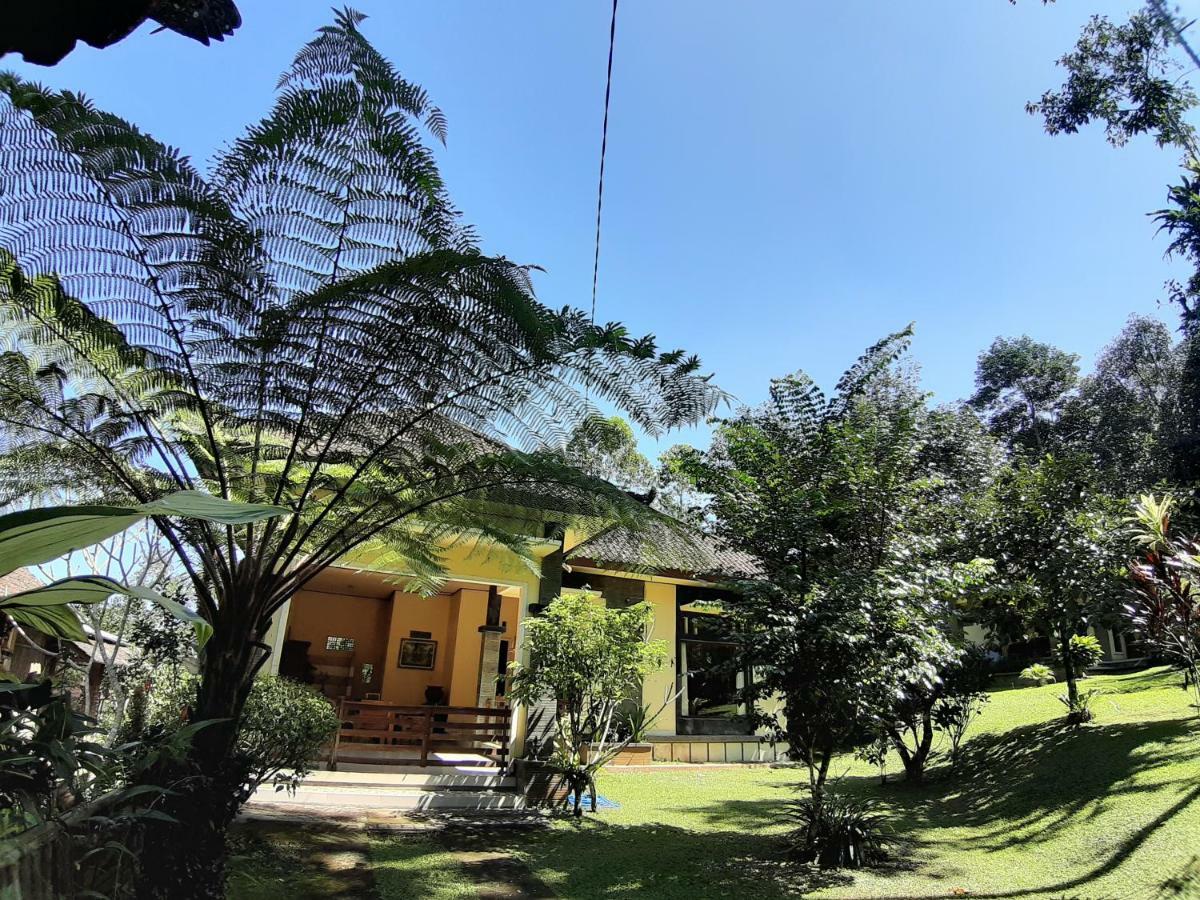 Tegal Jero Homestay Джатилувих Екстериор снимка