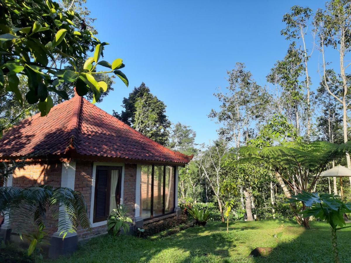 Tegal Jero Homestay Джатилувих Екстериор снимка