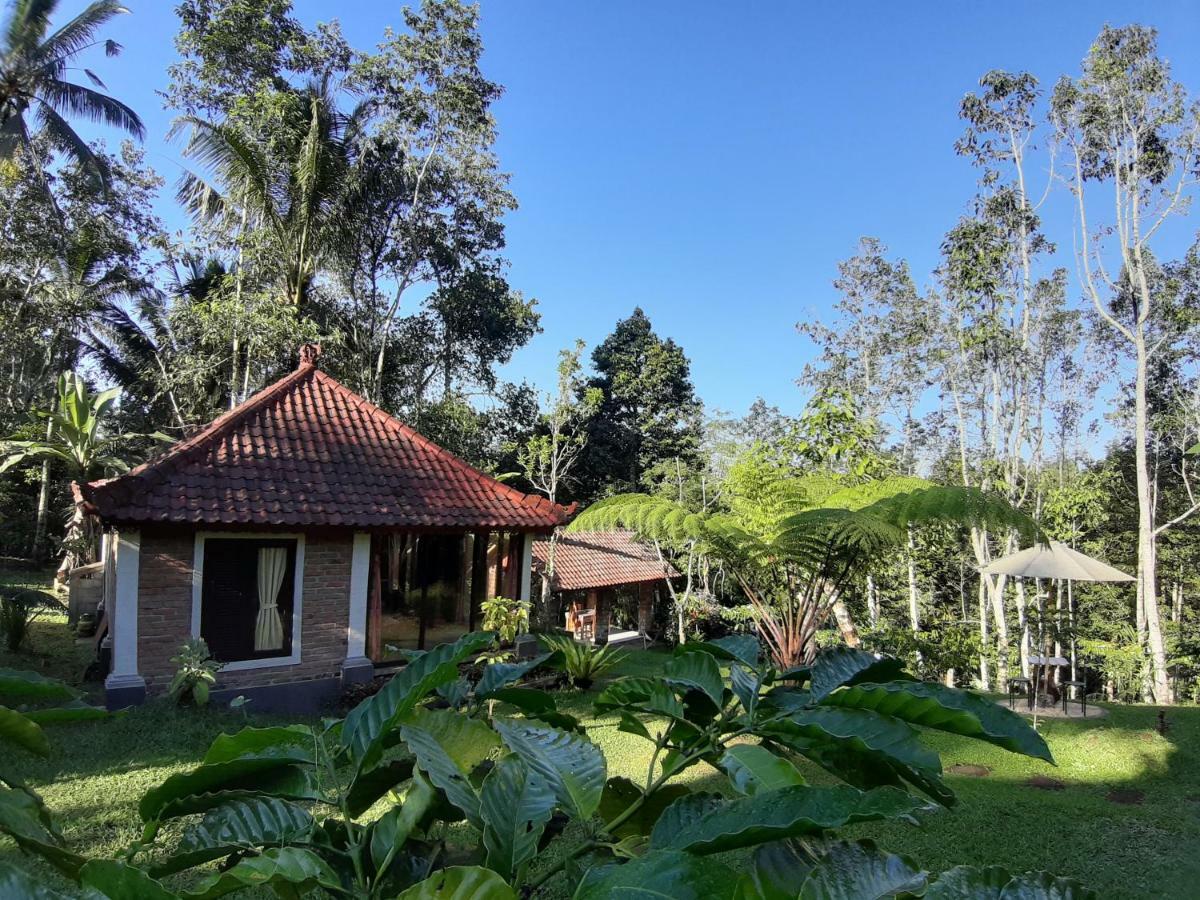 Tegal Jero Homestay Джатилувих Екстериор снимка