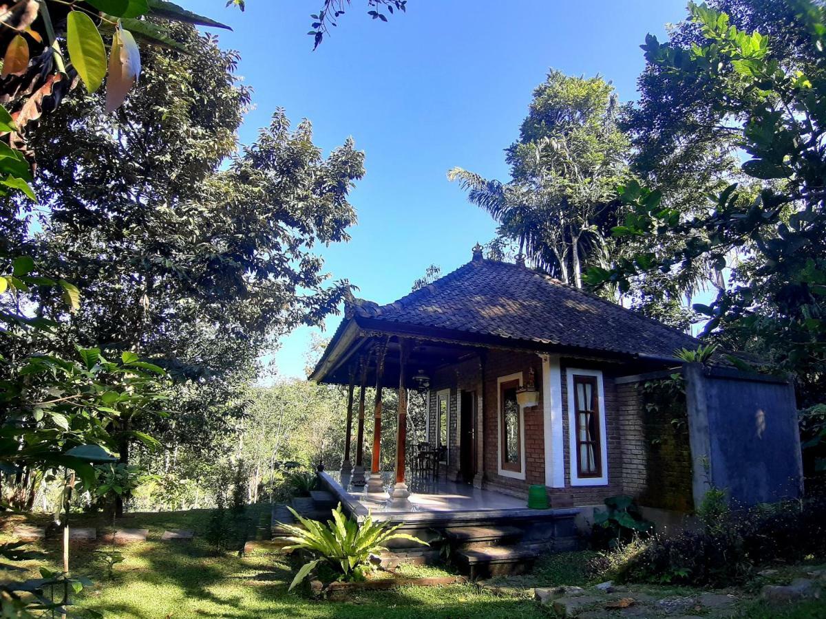 Tegal Jero Homestay Джатилувих Екстериор снимка