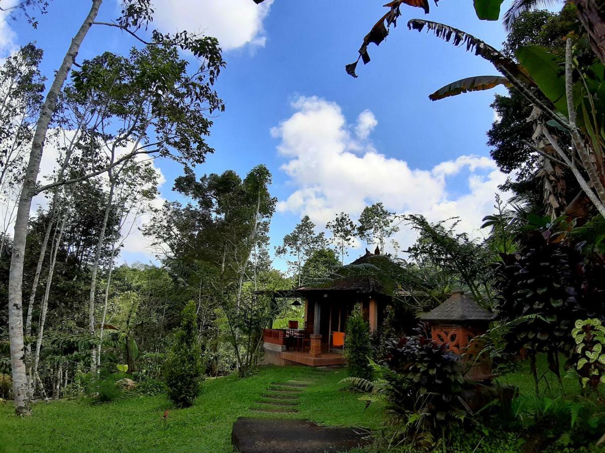 Tegal Jero Homestay Джатилувих Екстериор снимка