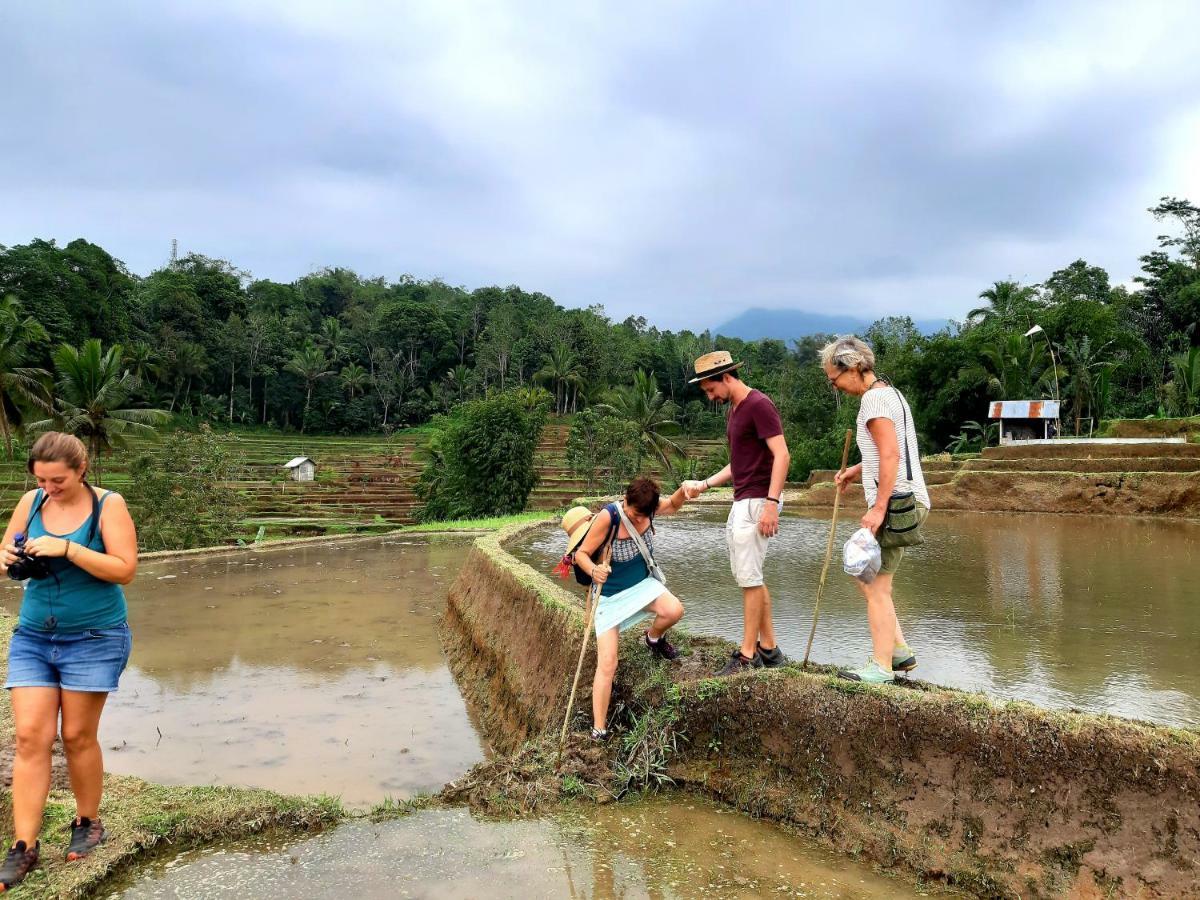 Tegal Jero Homestay Джатилувих Екстериор снимка