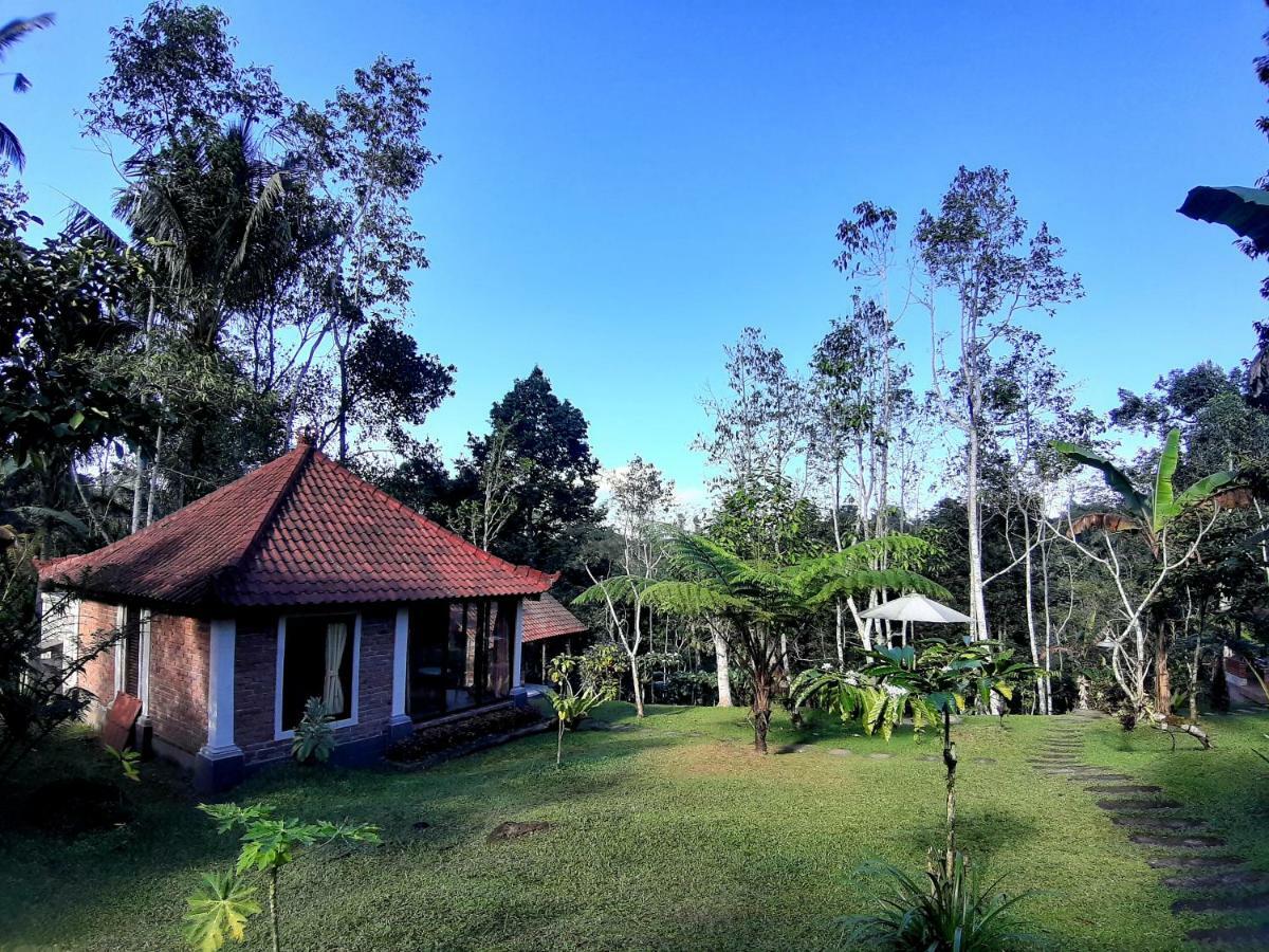 Tegal Jero Homestay Джатилувих Екстериор снимка